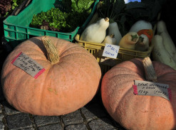 Klimkovické farmářské trhy